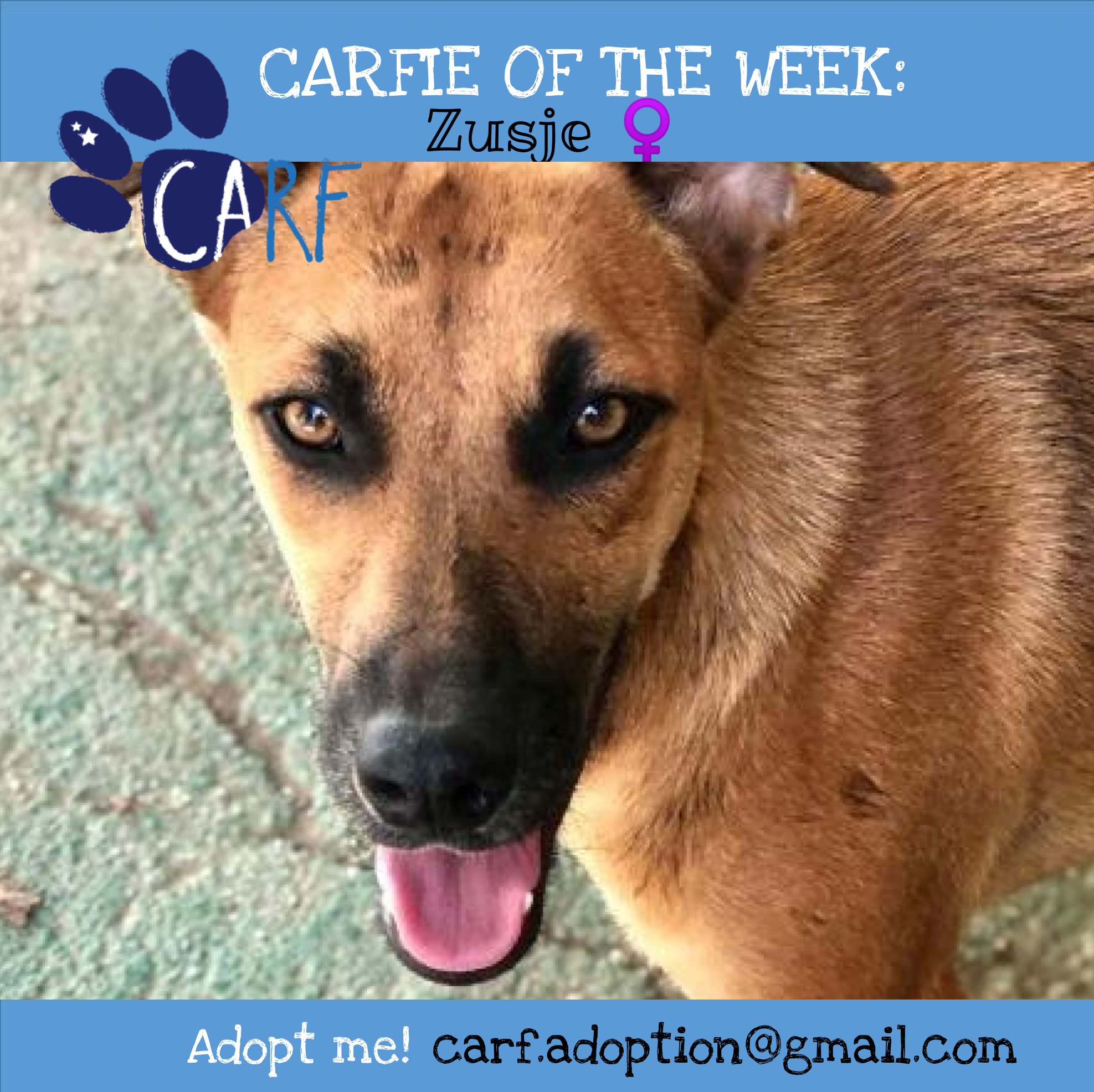 CARFIE of the Week: Zusje
